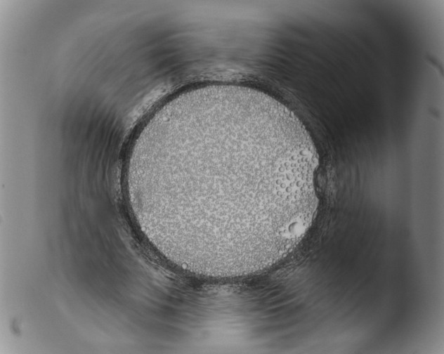 X0000103490679200810241102