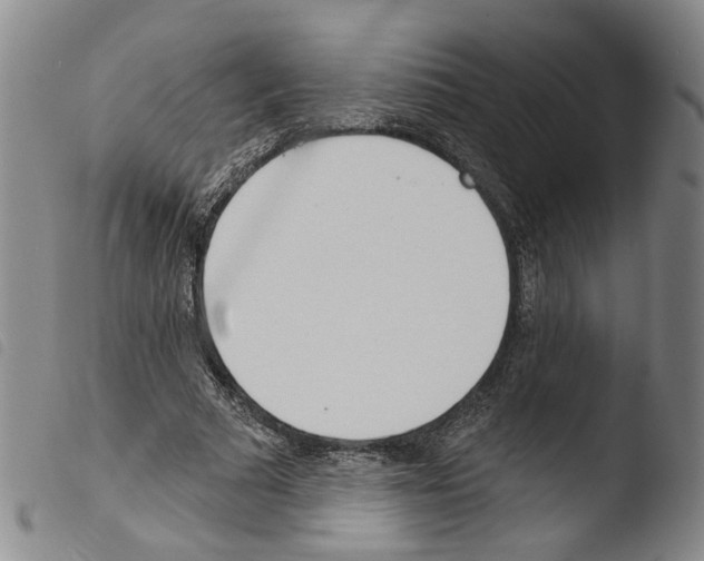 X0000103490681200810241102