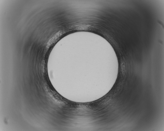 X0000103490682200810241102