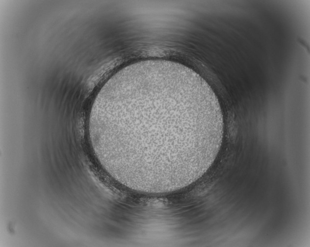 X0000103490683200810241102
