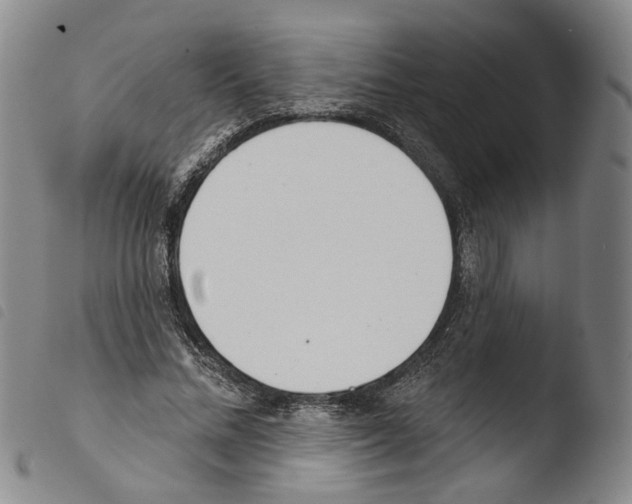 X0000103490684200810241102