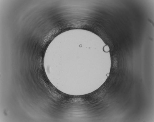 X0000103490685200810241102