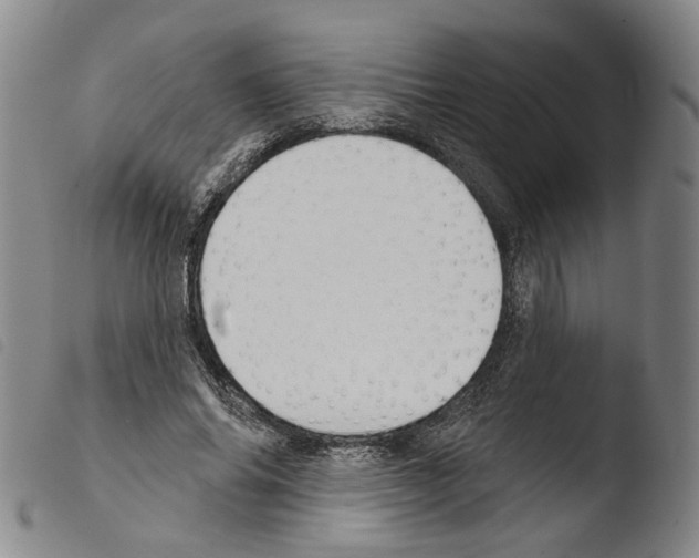 X0000103490686200810241102