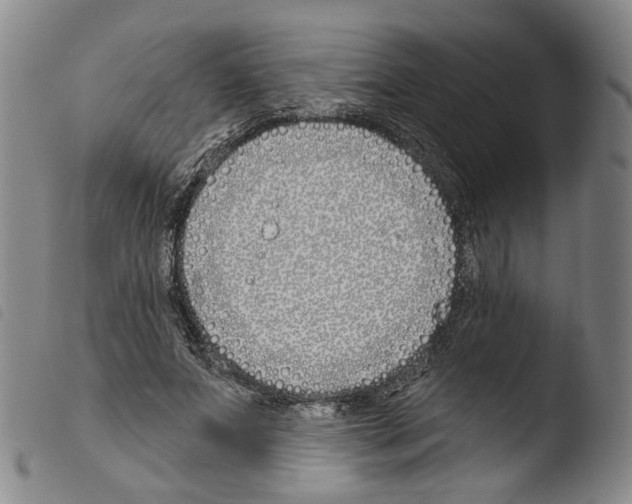 X0000103490687200810241102