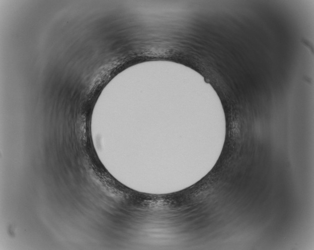X0000103490688200810241102