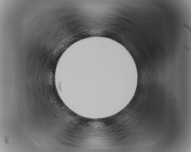 X0000103490689200810241102