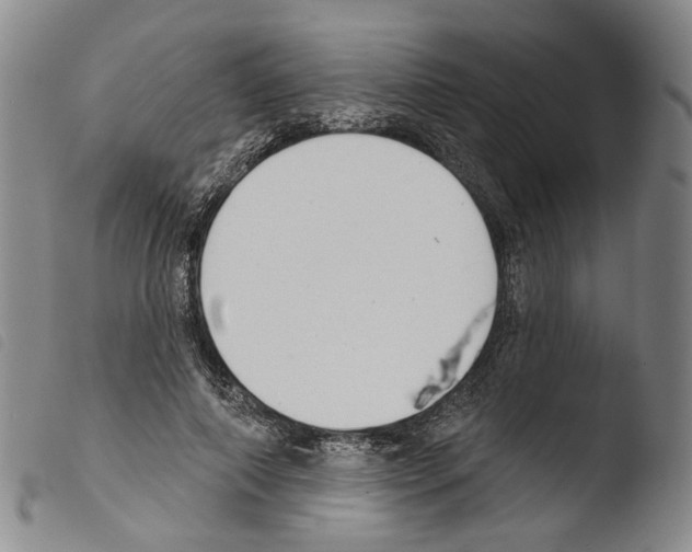 X0000103490690200810241102