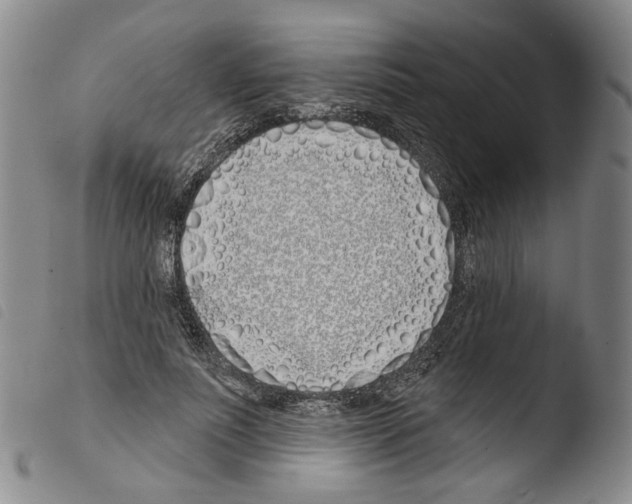 X0000103490691200810241102