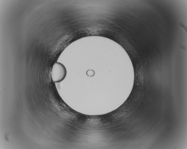 X0000103490694200810241102
