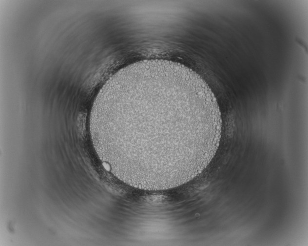 X0000103490695200810241102