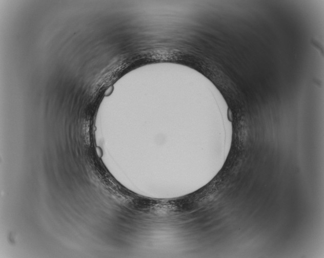 X0000103490696200810241102