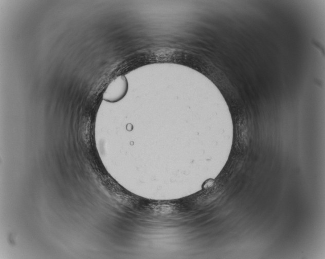 X0000103490698200810241102
