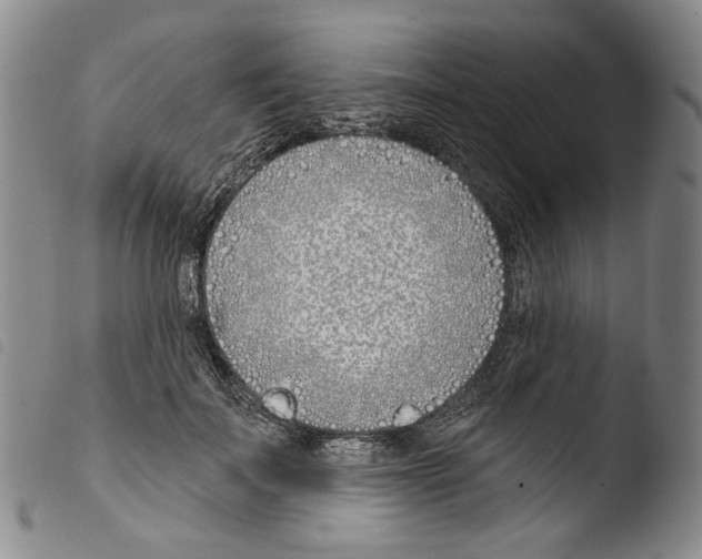 X0000103490699200810241102