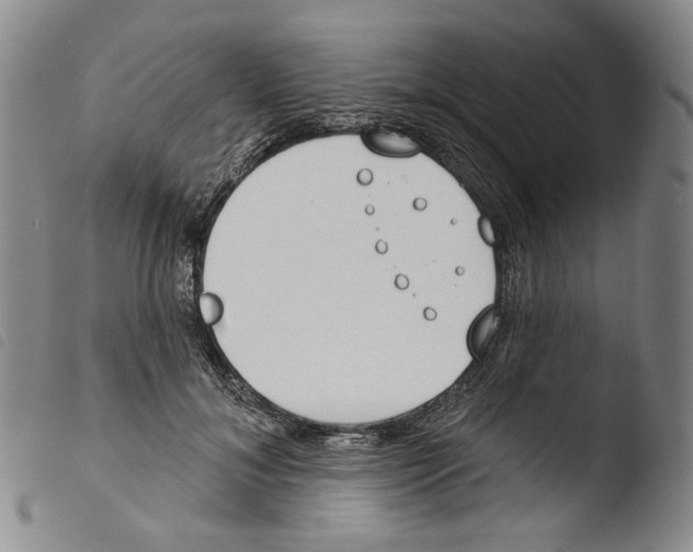 X0000103490700200810241102