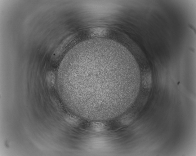 X0000103490701200810241102