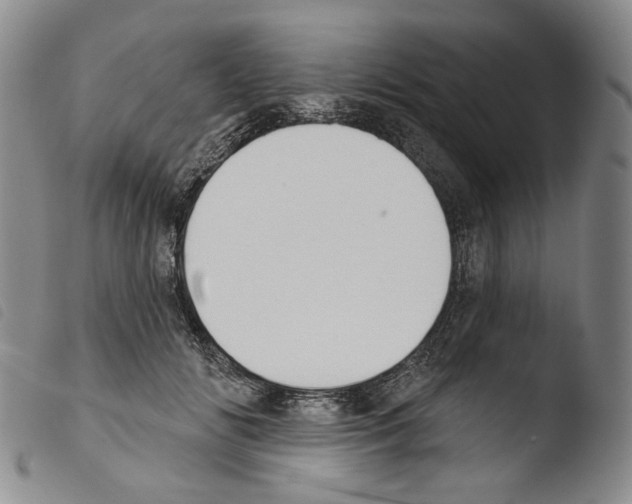 X0000103490702200810241102