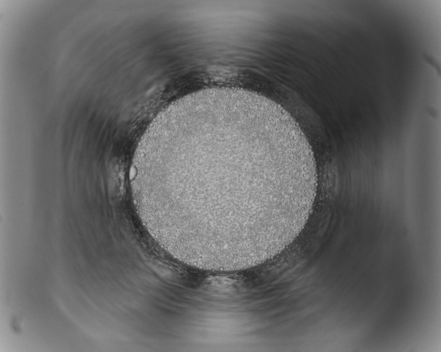 X0000103490703200810241101