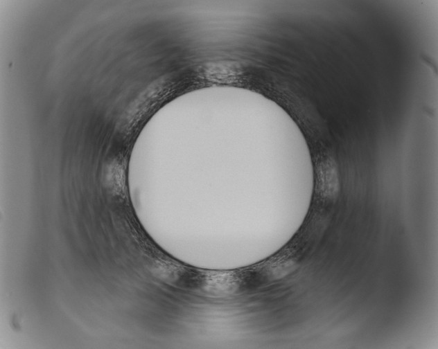 X0000103490705200810241101