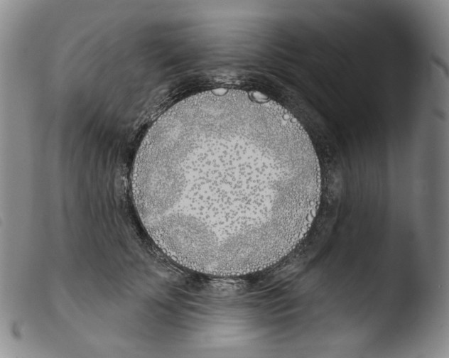 X0000103490707200810241101