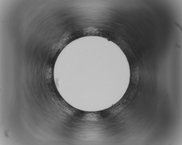 X0000103490708200810241101
