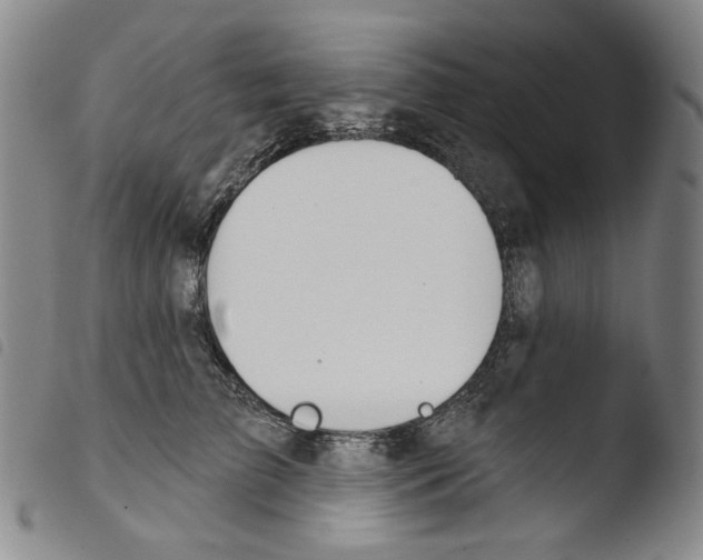 X0000103490709200810241101
