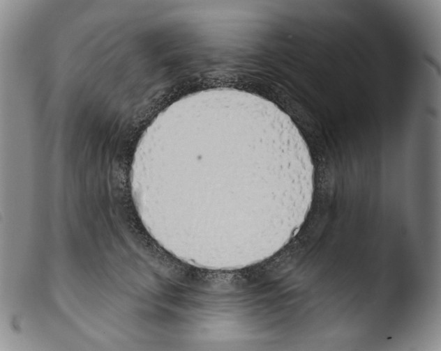 X0000103490711200810241101