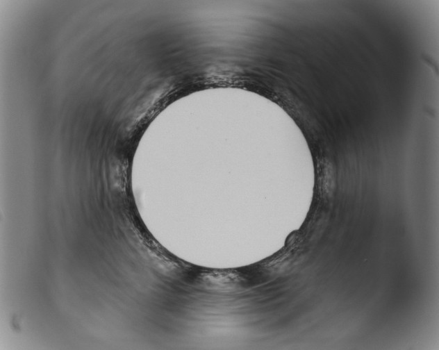 X0000103490712200810241101