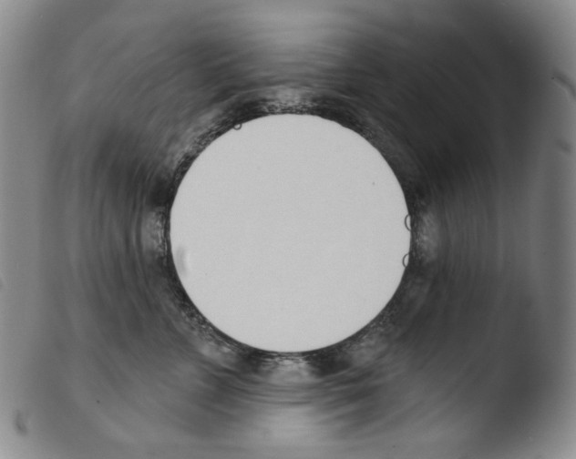 X0000103490715200810241101