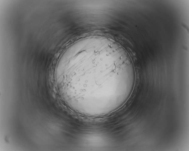 X0000103490717200810241101