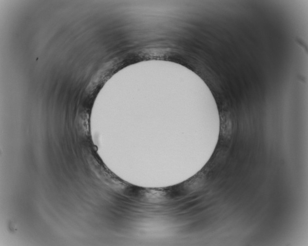 X0000103490718200810241101