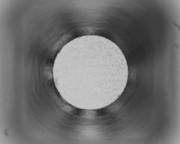 X0000103490719200810241101