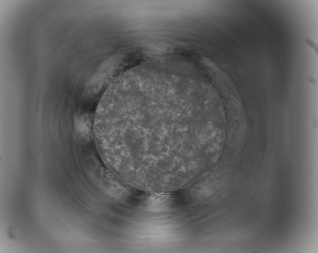 X0000103490720200810241101