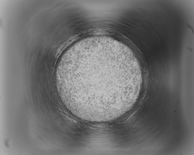 X0000103490721200810241100