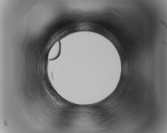 X0000103490722200810241100