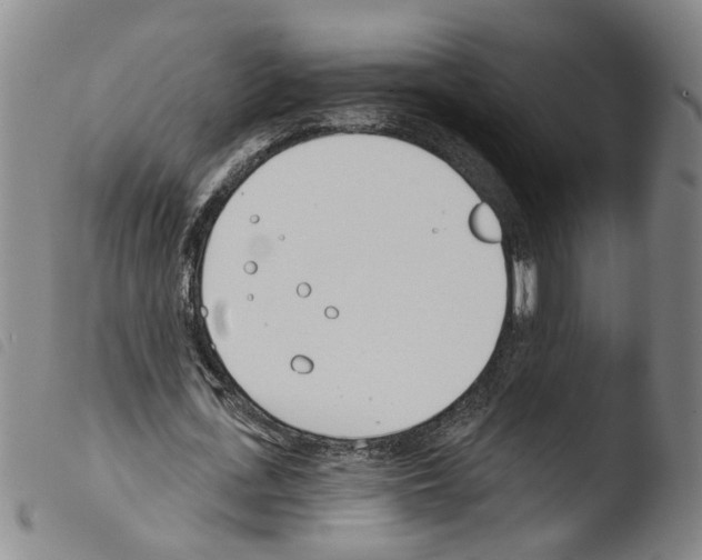 X0000103490723200810241100