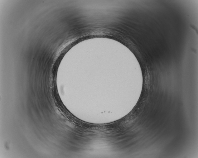 X0000103490724200810241100