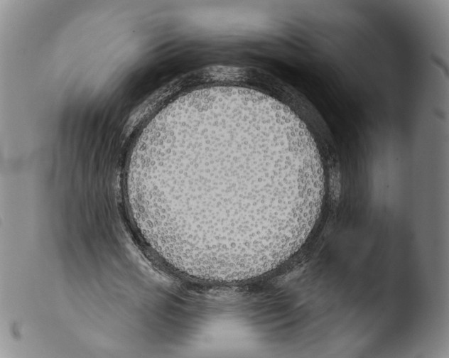 X0000103490725200810241100