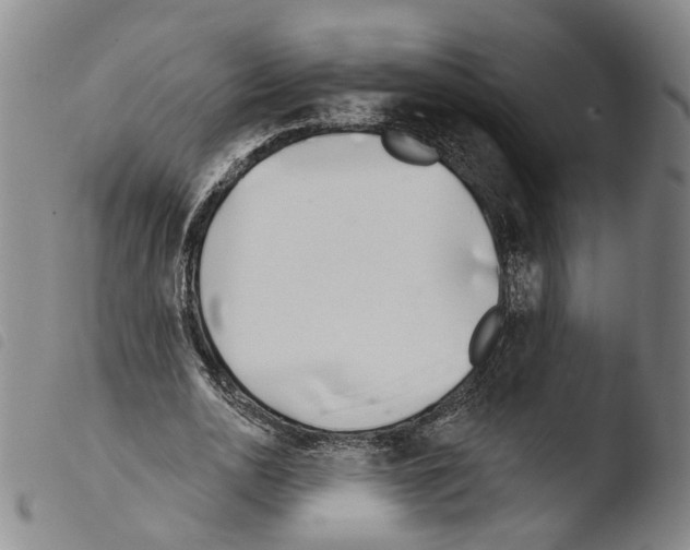 X0000103490726200810241100