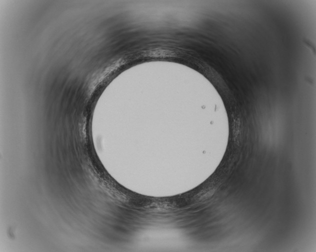 X0000103490727200810241100