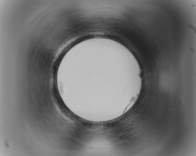 X0000103490728200810241100