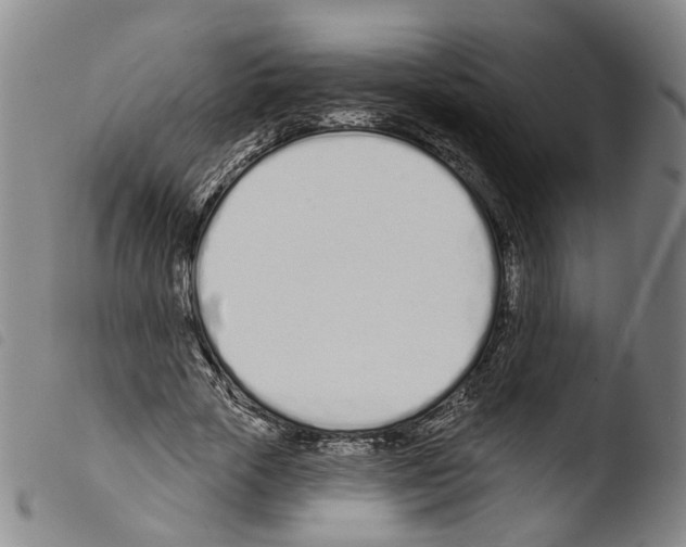 X0000103490729200810241100