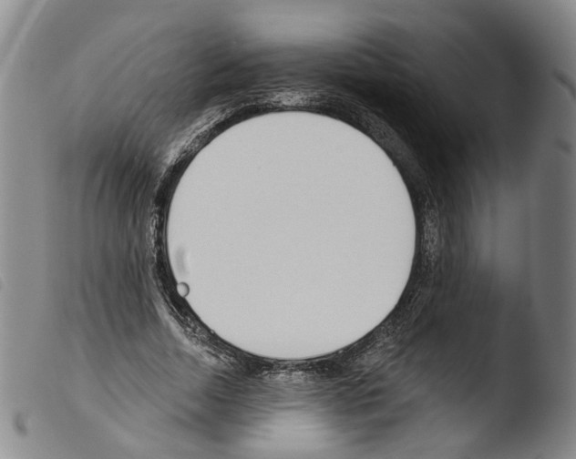 X0000103490730200810241100
