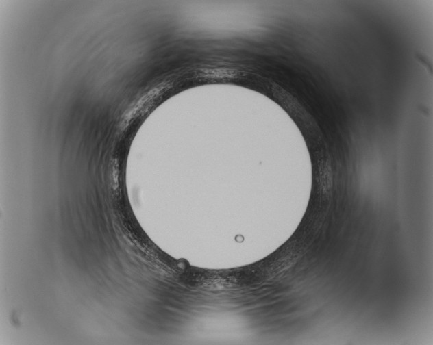 X0000103490731200810241101