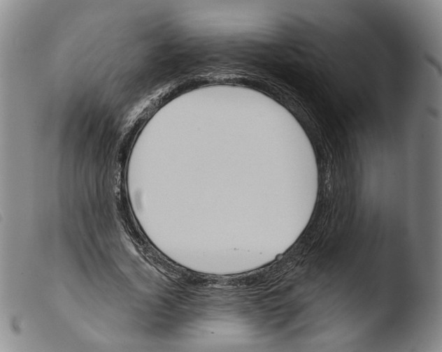 X0000103490732200810241101