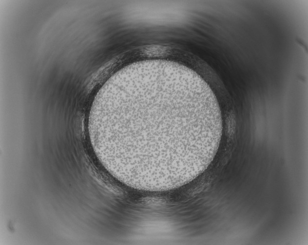 X0000103490733200810241101