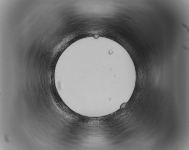 X0000103490734200810241101