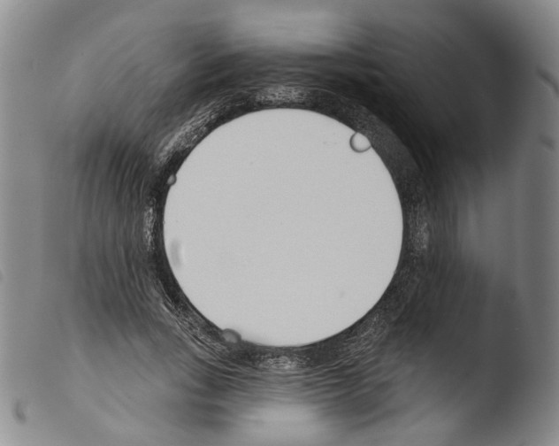 X0000103490735200810241101