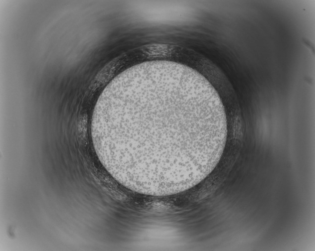 X0000103490737200810241101