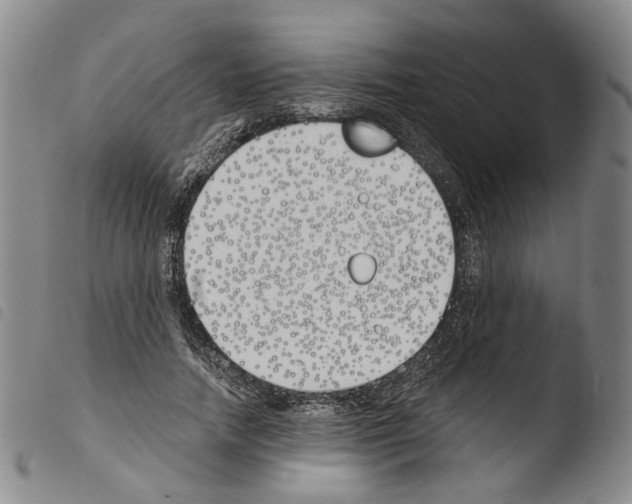 X0000103490738200810241101