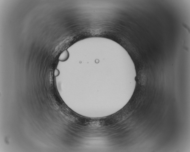 X0000103490740200810241101